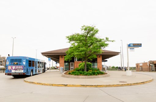 Photo of Newmarket GO Bus Terminal